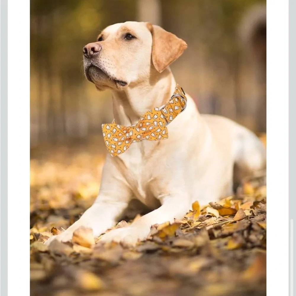 50%offw❤️ New Halloween Fall Adjustable Dog Collars With Detachable Bow L 119
